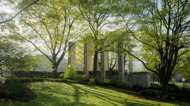 Side angle of the Virginia Tech Pylons